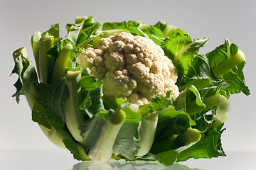 Image showing cauliflower