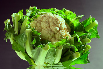 Image showing cauliflower