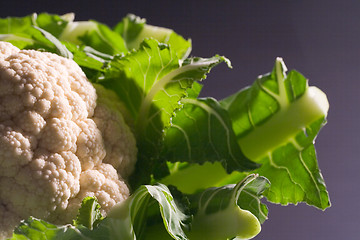 Image showing cauliflower