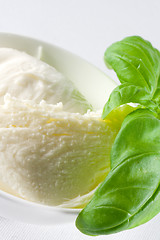 Image showing fresh mozzarella