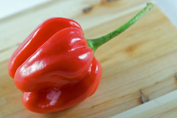 Image showing Habanero chillie on juniper wood chopping board