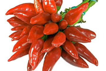 Image showing Bunch of fresh red chillies on white