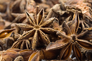 Image showing anise