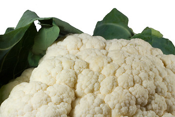 Image showing cauliflower