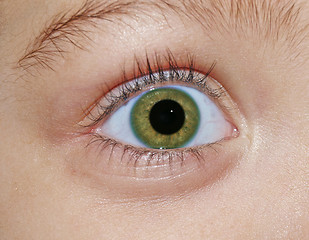 Image showing green eye