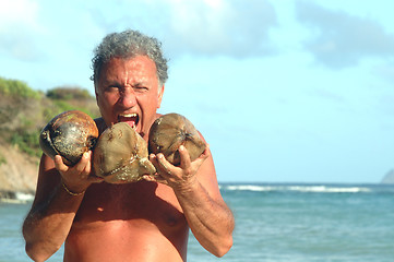 Image showing eating coconuts 516