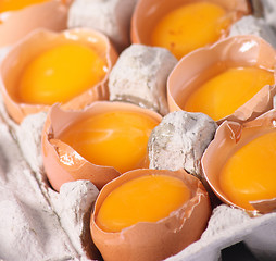 Image showing fresh eggs