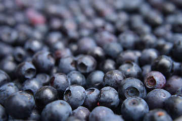 Image showing blueberries background