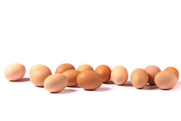 Image showing fresh eggs