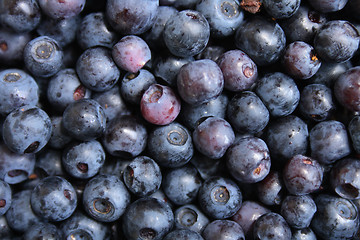 Image showing blueberries background