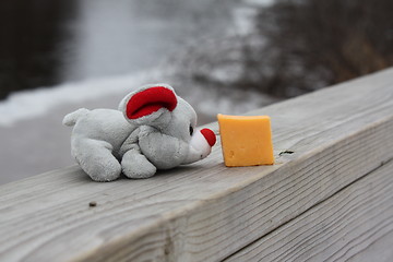 Image showing A mouse and his cheese.