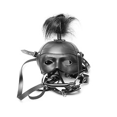 Image showing sadomasochism mask