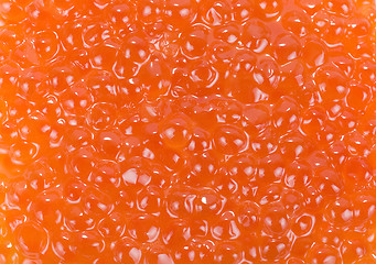 Image showing red caviar background
