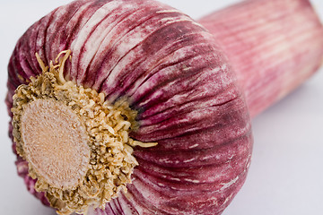 Image showing red garlic