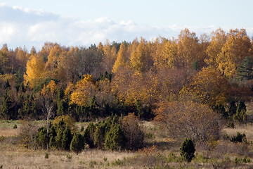 Image showing fall