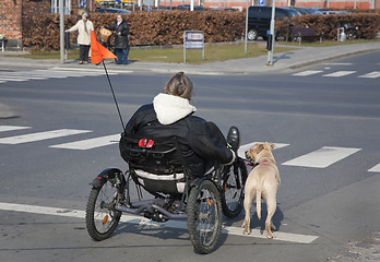 Image showing Contemporary bike with dog