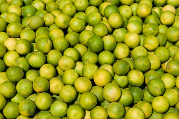 Image showing Freshly grown lemon produce at a local fruit market