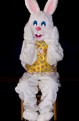 Image showing Rabbit sitting in a chair for Easter