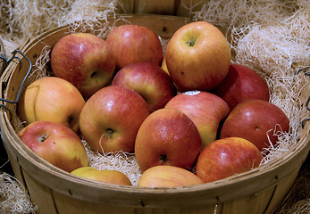 Image showing An apple aday