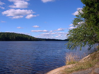 Image showing Wood lake