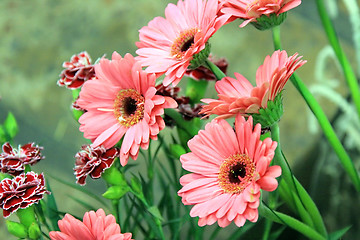 Image showing the beauty flowers