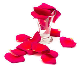 Image showing Shot glass and petals
