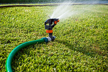 Image showing Water sprinkler