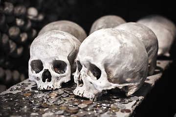 Image showing Old skulls with coins