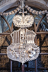 Image showing Family emblem from the bones