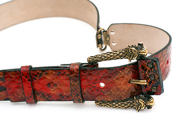 Image showing Red fashion belt