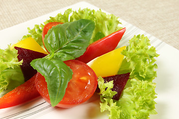 Image showing Vegetarian salad