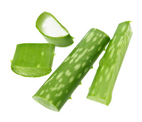 Image showing Aloe vera plant pieces