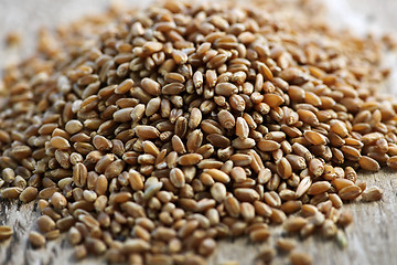 Image showing Whole grain wheat kernels closeup