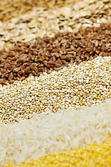 Image showing Various grains close up