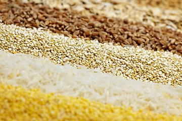Image showing Various grains close up