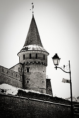 Image showing Tower and lantern blackwhite