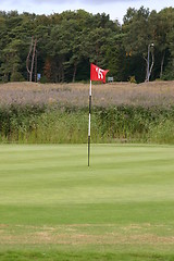 Image showing golf