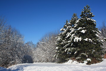 Image showing Winter scene.