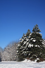 Image showing Winter scene.