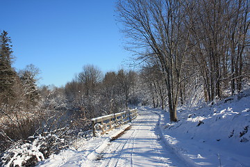 Image showing Winter scene.