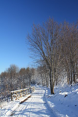 Image showing Winter scene.