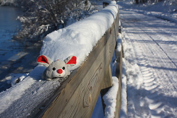 Image showing Mouse on a fence.