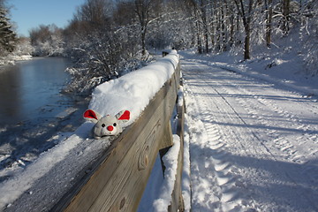 Image showing Mouse on a fence.