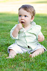 Image showing Baby Eating Grass