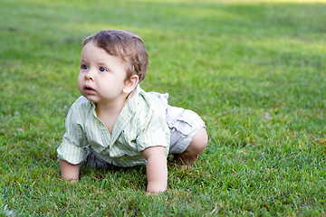 Image showing Baby Boy Crawling