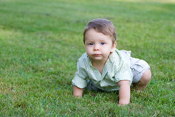 Image showing Cute Baby Crawling