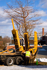 Image showing Tree Transplanter