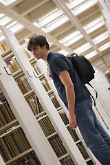 Image showing Searching the Library