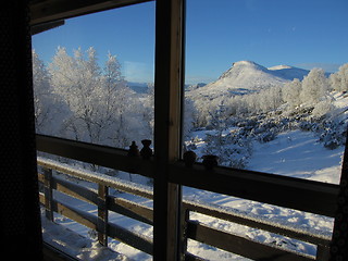Image showing Skogshorn winter