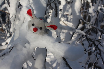 Image showing A winter mouse.